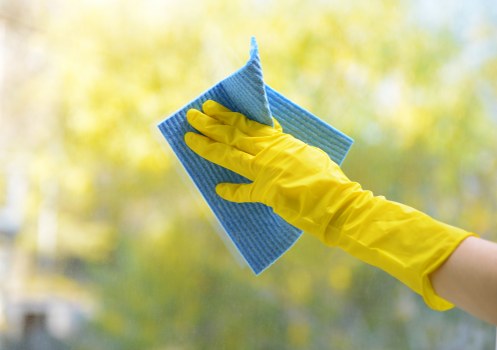Professional patio cleaning service for a Stockwell home garden