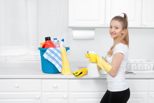Technician assessing a carpet cleaning issue report