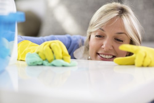 Deep cleaning of oven racks and trays in a Stockwell property