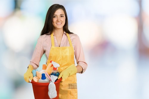 Deep clean preparation and cleaning equipment used in a Stockwell property