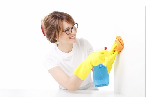 Professional window cleaning for flats and residential properties in Stockwell